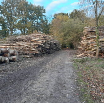 1982267550773499109_1763742464827