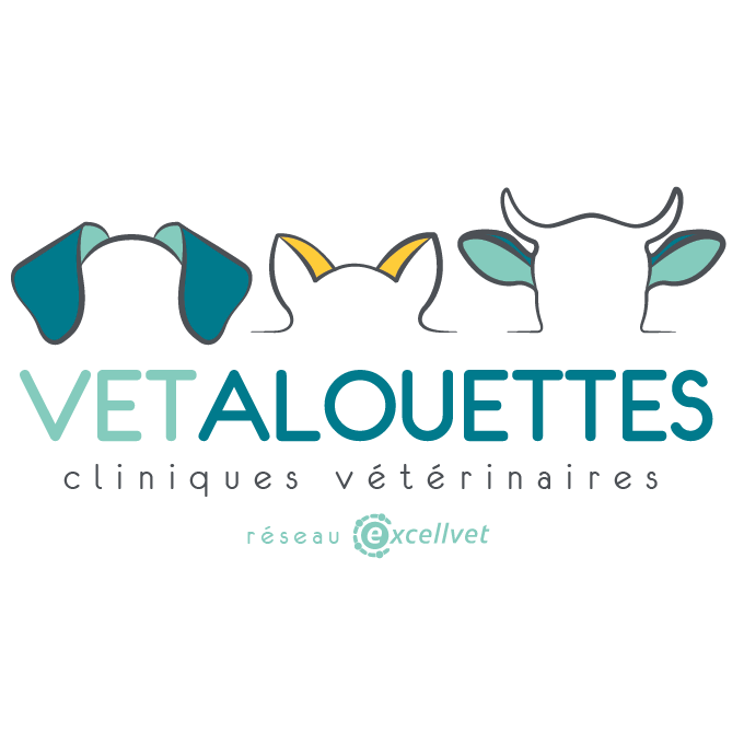 Vetalouettes