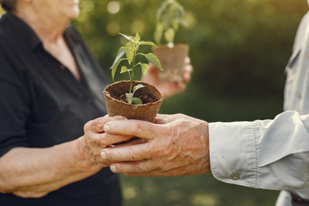 jardin-solidaire