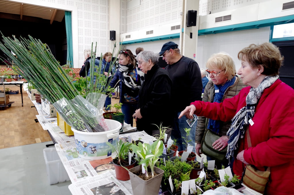 Troc aux plantes